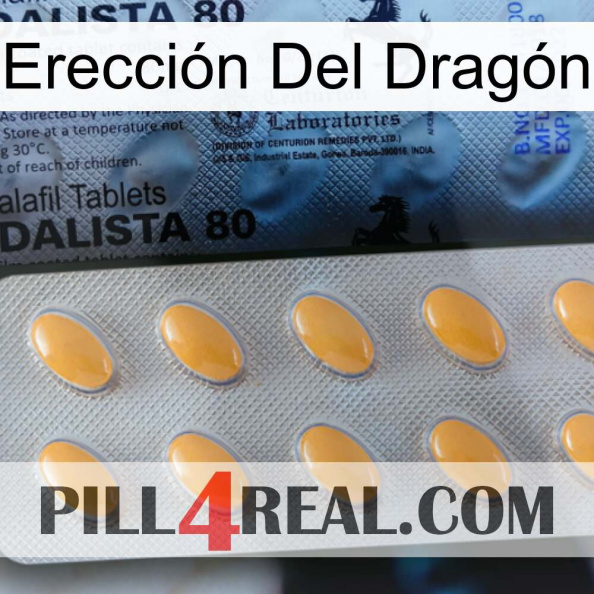 Erección Del Dragón 44.jpg